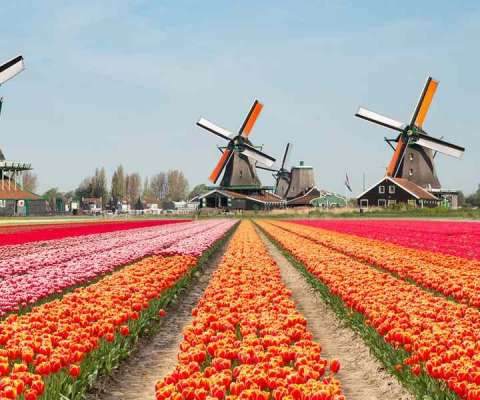 В Нидерландах могут повысить налог на гемблинг до 37,8%