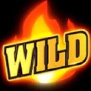 Символ Wild в Hell Hot 40