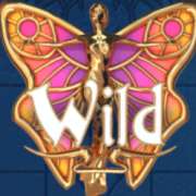Символ Wild в Codex of Fortune