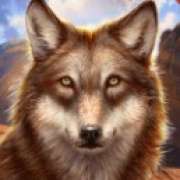 Символ Серый волк в Wolf Canyon: Hold & Win