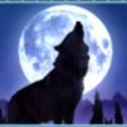 Символ Wild в Wolf Moon