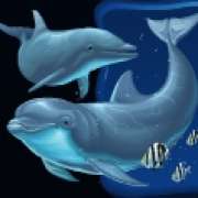 Символ Два дельфина в Dolphin Quest