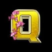 Символ Q в Divine Stars