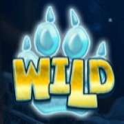 Символ Wild в Wolf Cub
