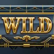 Символ Wild в Wild Rails