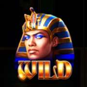 Символ Wild в Times of Egypt Pharaoh's Reign