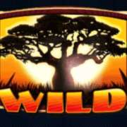 Символ Wild в Silver Lion Feature Ball