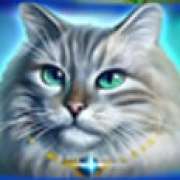Символ Голубоглазый кот в Wild Hearts