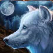 Символ Белый волк в Wolf Canyon: Hold & Win