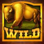 Символ Золотой бизон в Buffalo Rising Megaways All Action