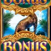 Символ Bonus в Jaguar Moon