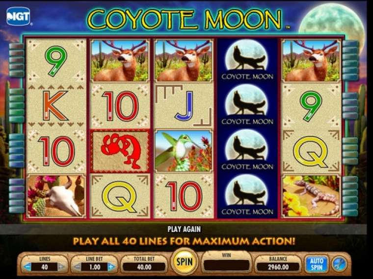 Видео покер Coyote Moon демо-игра