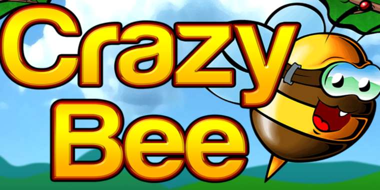 Видео покер Crazy Bee демо-игра