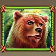 Символ Медведь в Raging Bison