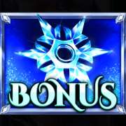 Символ Bonus в Queen of Ice
