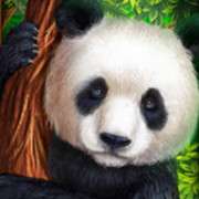 Символ Панда в Bamboo Rush