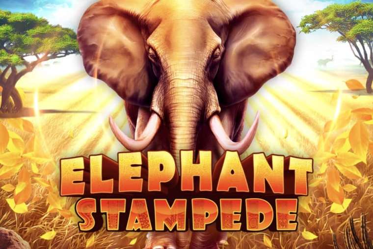 Видео покер Elephant Stampede демо-игра