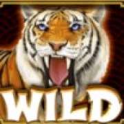 Символ WIld в Retro Tiger