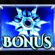 Символ Bonus в Queen Of Ice Expanded Edition