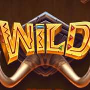 Символ Wild в Safari of Wealth