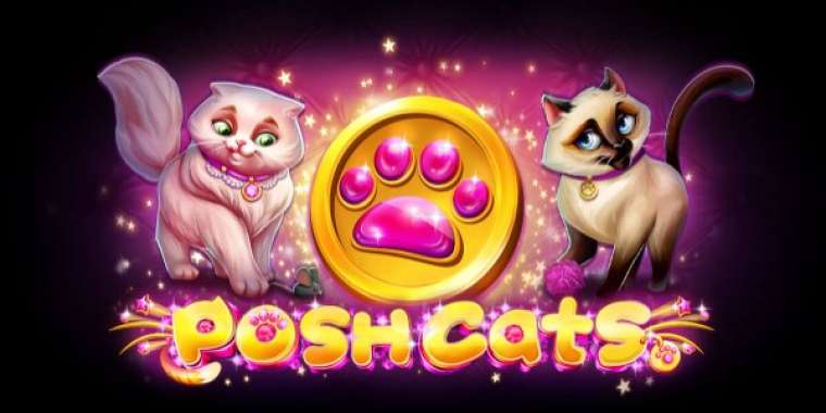 Онлайн слот Posh Cats играть