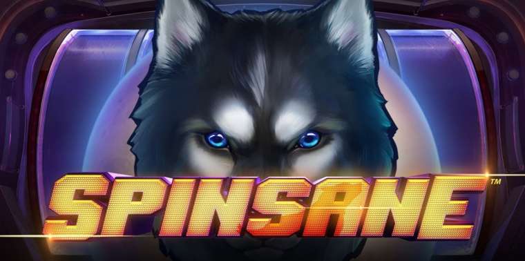 Видео покер Spinsane демо-игра