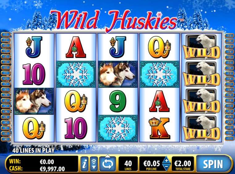 Видео покер Wild Huskies демо-игра