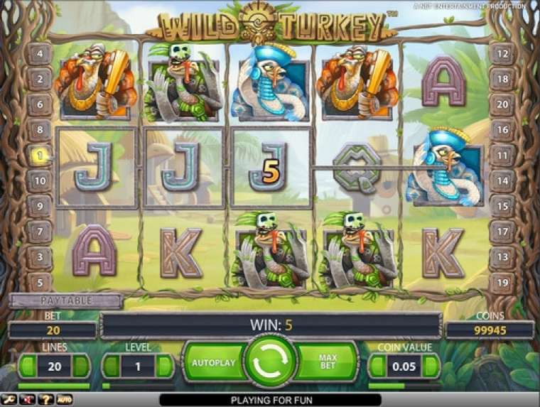 Видео покер Wild Turkey демо-игра