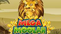 Джекпот Mega Moolah от Microgaming составил 7,3 миллиона евро